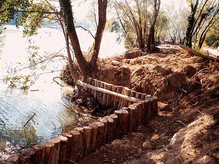 NAZZANO difesa arbusti