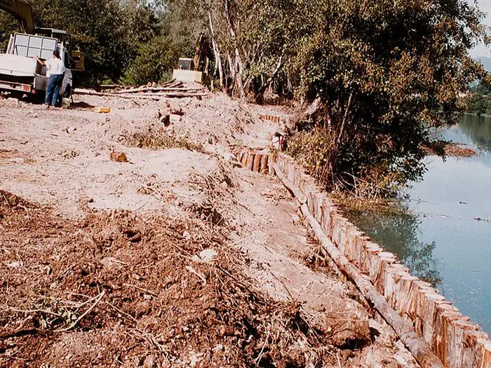 NAZZANO paratoia pali castagno